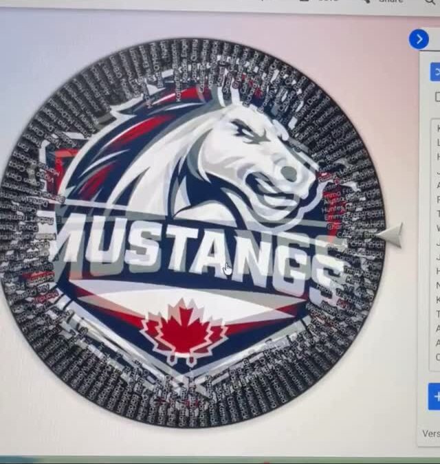 Congratulations to our Bulls on the Beach giveaway winner!