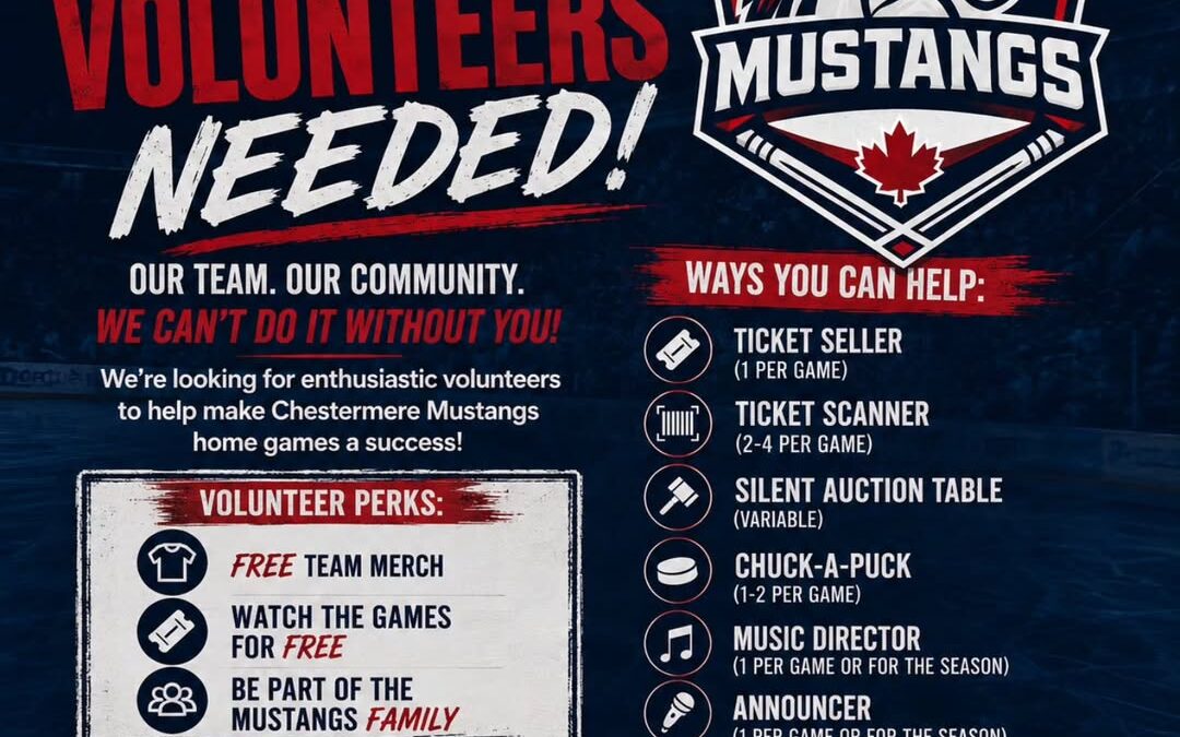 Game Day Volunteers Needed